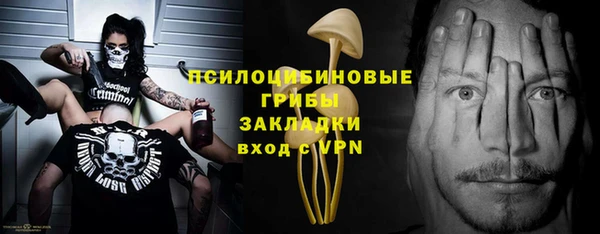 бутират Лагань