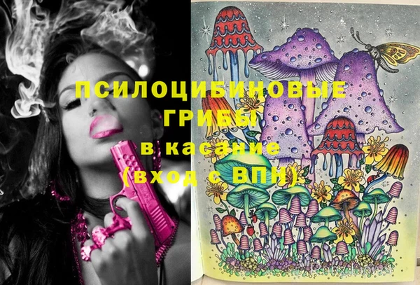 скорость Абаза