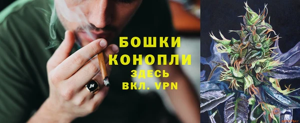 гидропоника Ладушкин