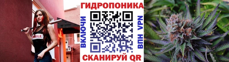 купить   Алагир  Конопля THC 21% 